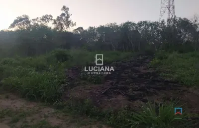 Terreno plano fora de condomínio à venda em gravatá/pe