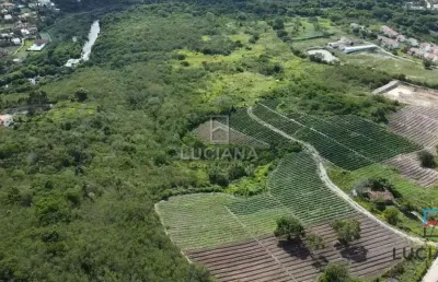 Propriedade com 33 hectares a 1.300 metros da via local
