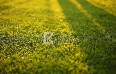 Terreno à venda, parque campo bonito, indaiatuba, sp