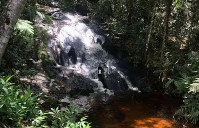 Sítio com 3 dormitórios à venda, 144000 m² por r$ 900.000,00 - rio preto - rio preto/mg