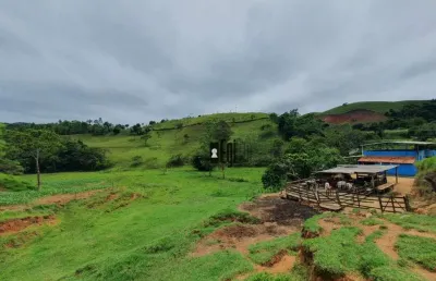 Sítio à venda, 107000 m² por r$ 850.000,00 - igrejinha - juiz de fora/mg