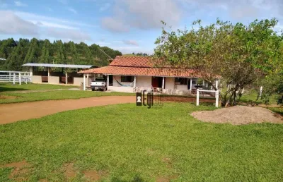 Fazenda em goianá a venda com 75 hectares - alta produção de silagem além de excelente para pecuária - fácil acesso!