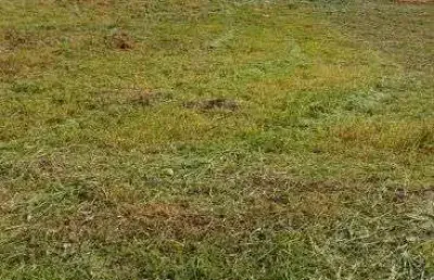 Terreno em condomínio em itupeva/sp - gran ville são venâncio - leve declive