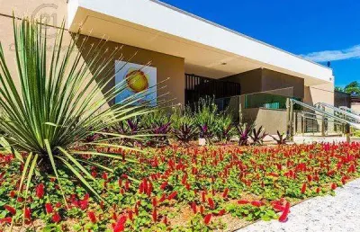 Apartamento à venda e para alugar em londrina, aurora, com 3 quartos, com 71 m², solar alta vista