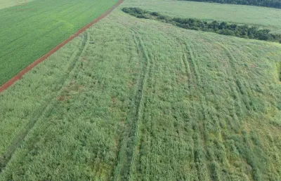 Fazenda à venda em leópolis, centro, com 1 quarto, com 78 alqueires