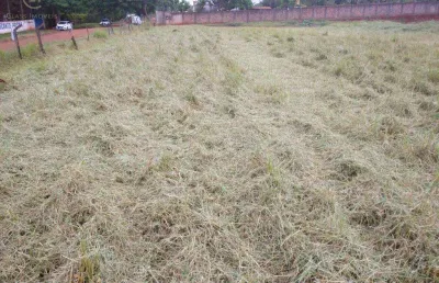 Terreno à venda em londrina, dom pedro i, com 7258 m²