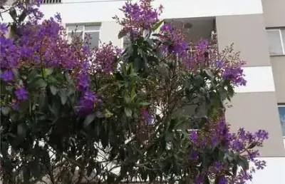 Apartamento à venda em londrina, aurora, com 3 quartos, com 69.76 m², garden ecologic
