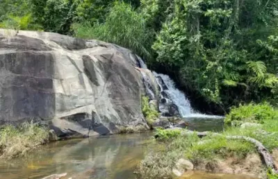 Fazenda com 385 hectares | á venda | mascote - bahia