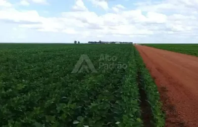 Fazenda com 21 mil hectares | á venda | terezinha - pi