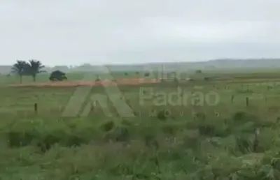 Fazenda no município de bom jesus das selvas-maranhão