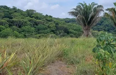 Fazenda à venda na Avenida José Bezerra, S/n, Centro, Tamandaré