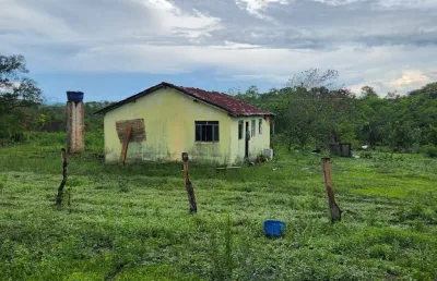 Fazenda à venda na Avenida Afonso Pena, Zona Rural, Niquelândia