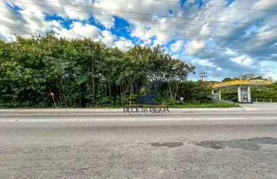 Terreno à venda, 7300 m² por r$ 8.000.000 - porto do carro - cabo frio/rj