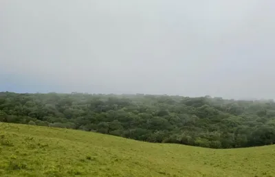 Chácara / sítio à venda na Rua São José, Zona Rural, Cambará do Sul