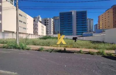 Área à venda, 1428 m² por r$ 4.990.000,00 - vila nossa senhora do bonfim - são josé do rio preto/sp