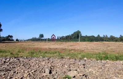 Oportunidade: terreno para venda em farroupilha, belvedere