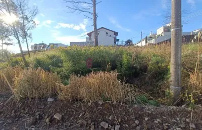 Terreno à venda - esquina - bairro são francisco - 363 m²