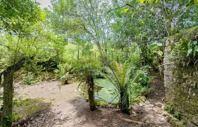 Chácara / sítio com 4 quartos à venda na maria de lima almeida, 10, santo antônio, são josé dos pinhais por r$ 700.000