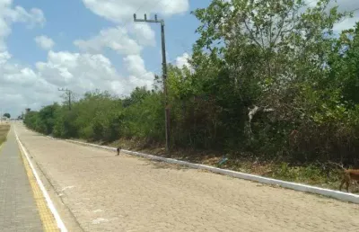 Terreno à venda, 182800 m² por r$ 800.000,00 - centro - poço branco/rn