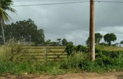 Fazenda à venda, 345000 m² por r$ 1.200.000,00 - centro - monte alegre/rn