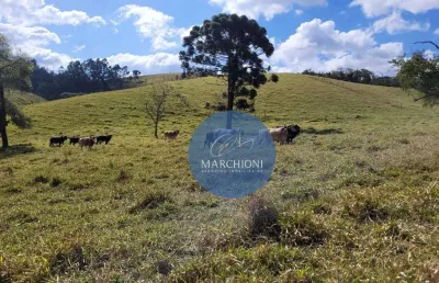 Chácara / sítio com 5 quartos à venda na -22.787884, -46.577510, 10010, Zona Rural, Pinhalzinho