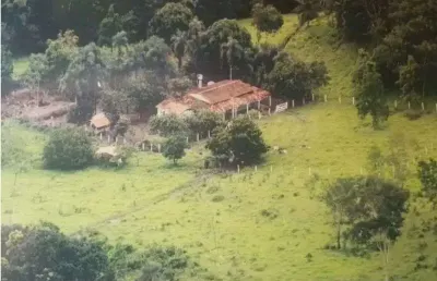 Chácara / sítio com 4 quartos à venda na rua jaraguá, 4, vila nova jayara, anápolis, 150000 m2 por r$ 1.100.000