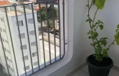Lindo apartamento no cambuí em campinas com 3 dormitório(suite master com closet).