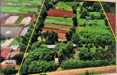 Chácara / sítio à venda na Área Rural, Área Rural de Londrina, Londrina