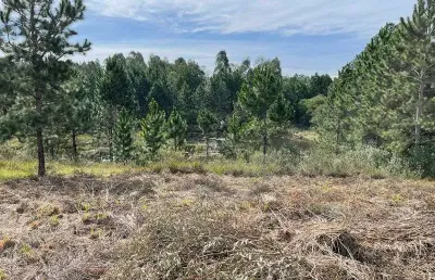 Terreno em condomínio fechado à venda na Quatro Barras, 588, Vale do Anhangava, Quatro Barras