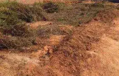 Terreno à venda, 224 m² por r$ 337.095,00 - jardim veneza - indaiatuba/sp