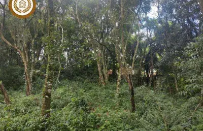 Casa à venda no Campininha (Canguera), São Roque 