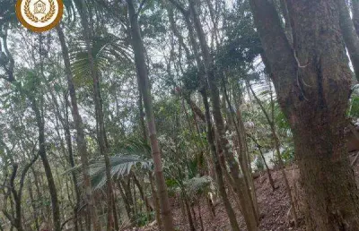 Casa para venda em são roque, planalto verde, 3 dormitórios, 1 suíte, 2 banheiros, 2 vagas