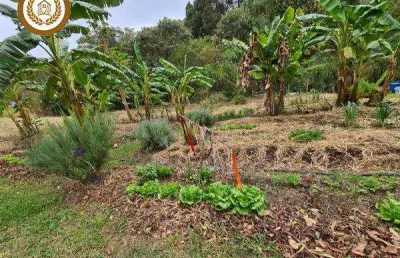 Casa para venda em são roque, planalto verde, 1 dormitório, 1 suíte, 1 banheiro, 10 vagas
