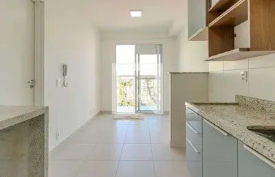 Apartamento para aluguel - jardim sao luis, 1 quarto,  28 m² - são paulo