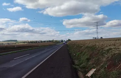 Chácara / sítio à venda na Avenida Getúlio Vargas, Zona Rural, Floresta