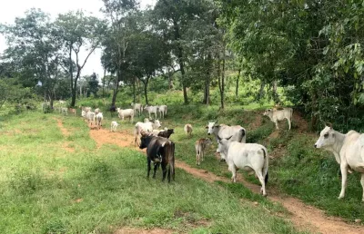 Fazenda com 1 sala à venda na Rodovia DF-205, Setor Habitacional Fercal (Sobradinho), Brasília