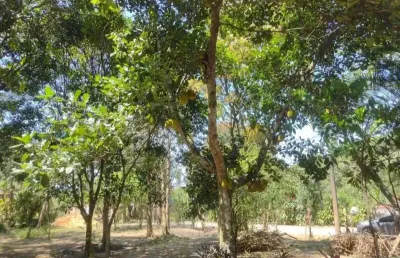 Terreno à venda no Parada Ideal, Guapimirim 