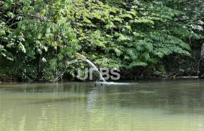 Chácara rica em água e com localização privilegiada - sítios recreio ipê