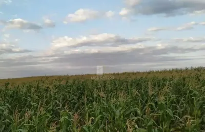 Chácara / sítio com 1 quarto à venda no Frei Timóteo, Jataizinho 
