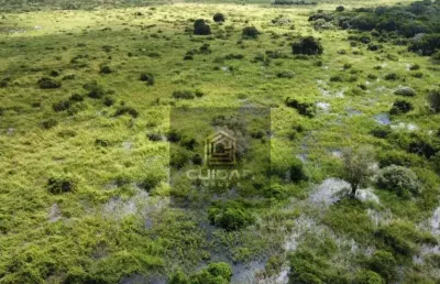 Chácara / sítio com 21 quartos à venda no Centro, Barão de Melgaço 