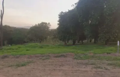 Terreno à venda na Rua Conceição Alvarenga, 1, Vianópolis, Betim