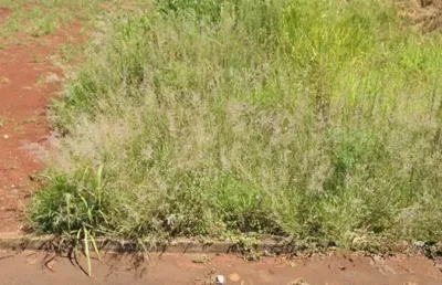 Terreno à venda no FAG, Cascavel 