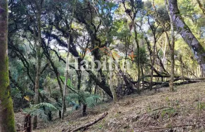Terreno à venda no Alpino, São Bento do Sul 