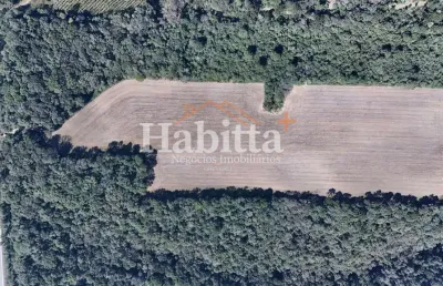 Terreno para venda em são bento do sul, industrial sul