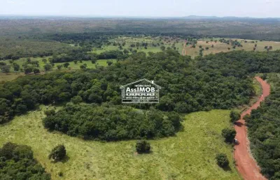 Fazenda de agropecuária, 500ha, com poço artesiano e nascentes, sede grande, currais, energia, paracatu-mg