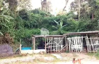 Chácara à venda, com 2.438 metros com pomar em produção, com rua asfaltada e iluminação e farto tra