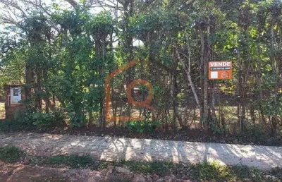 Chácara / sítio à venda na avenida daniel branco haddad, 460, parque planalto, araraquara, 5000 m2 por r$ 550.000