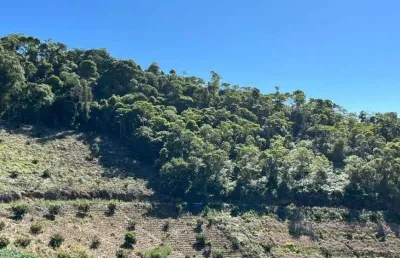 Chácara / sítio- oportunidade – pedra azul/es terreno com 20.000m² | r$ 700.000
