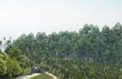 Lote - seu lugar nas montanhas está aqui! lotes exclusivos em pedra azul | es