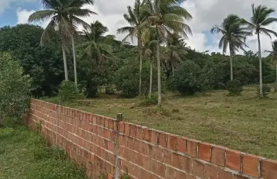 Vendo chácara em igarassu, toda murada (81) 9.8645.3325 jero fregapane creci 17797